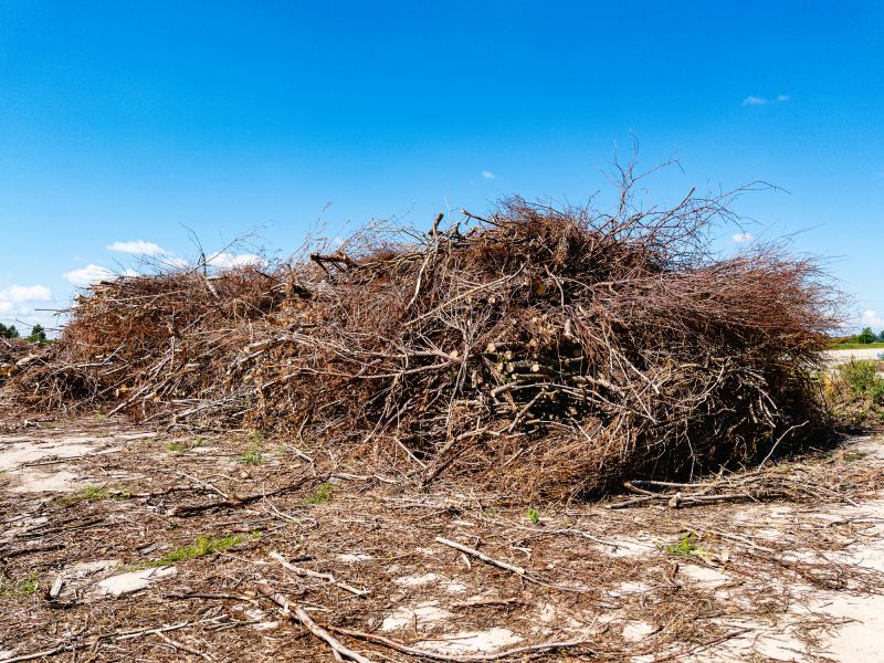 Branch and Debris Removal