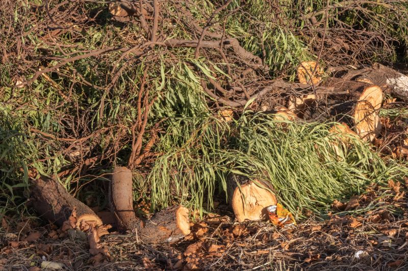 Fire Hazard Reduction