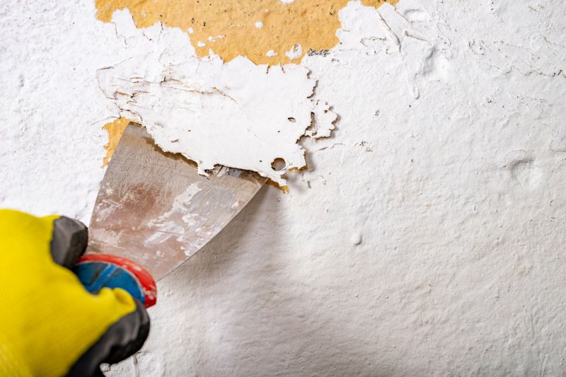 Cost of Brush Removal — Cost of Brush Removal