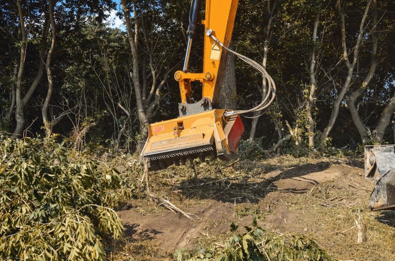 Cost of Brush Removal — Cost of Brush Removal