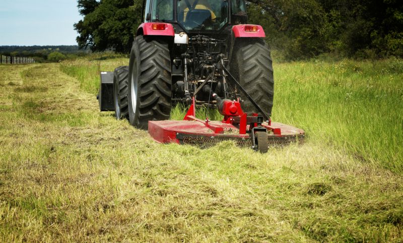 Cost of Brush Removal — Cost of Brush Removal