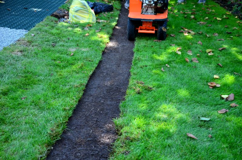 Cost of Brush Removal — Cost of Brush Removal