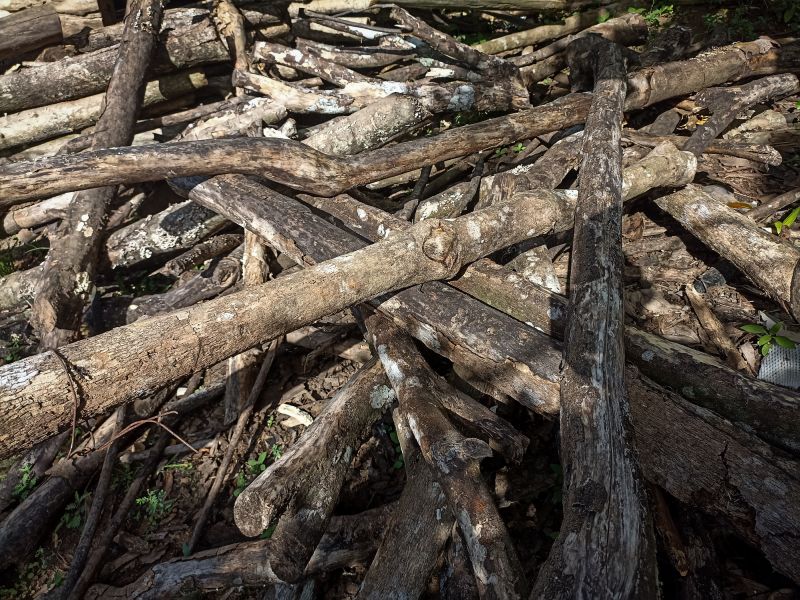 Products For Brush Removals in use